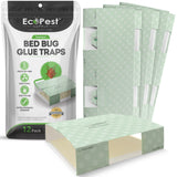 Bed Bug Glue Traps