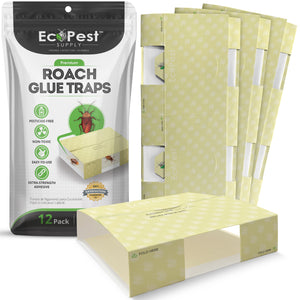 Roach Glue Traps – 12 Pack 
