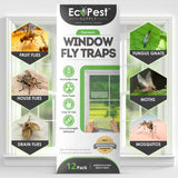 Transparent Sticky Fly Trap for Windows