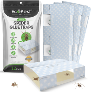 Spider Glue Traps – 12 Pack | Sticky Indoor Pest Control Trap for Spiders