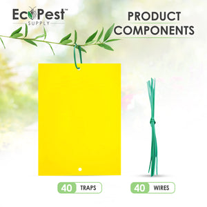 https://www.ecopest-supply.com/cdn/shop/products/2-40pack-extralargexlyellowstickyflytraptrapsadhesivesticktapeglueinsectinsectsfungusgnatgnatsindooroutdooreffective_jpg_jpg_jpg_300x300.jpg?v=1632257139