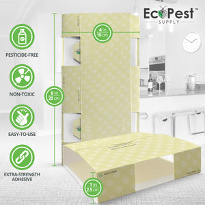 Pest Control Trap for Cockroaches