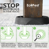 Online Bed Bug Interceptors— 4 Pack