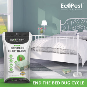 Bed Bug Glue Traps – 20 Pack | Sticky Indoor Pest Control Trap for Bed Bugs by EcoPest Supply