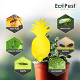 Fly Traps Yellow - 50 Pack