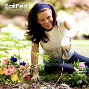 EcoPest Pest Control Powder Applicator