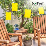 40 Pack Yellow Extra-Wide Sticky Fly Traps