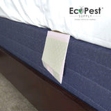 Buy Bed Bug Glue Traps