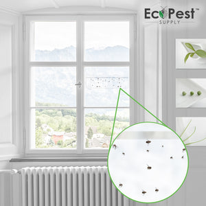 Window Fly Traps for Indoors, 80 Pack Clear Fly Paper Sticky Fly Strips for  Home Houseflies Waterproof Fly Catcher Lady Bug Traps