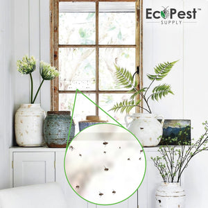 Window Fly Catcher - Includes 12 Strips - Nott Products, Inc